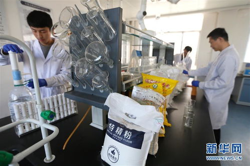 山东即墨一线 检测服务与供暖保障助力企业拓展新市场