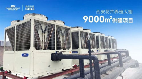 精品案例 派沃空气能助力花卉养殖大棚9000㎡供暖项目，35台超低温热泵护航冬日花开